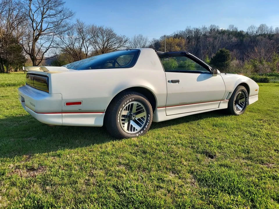 1985 Pontiac Firebird Trans Am 3rd Gen - Image 4 of 8