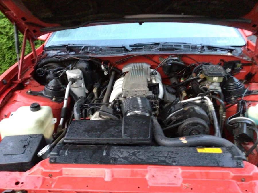 1985 Pontiac Firebird Trans Am 3rd Gen - Image 9 of 10