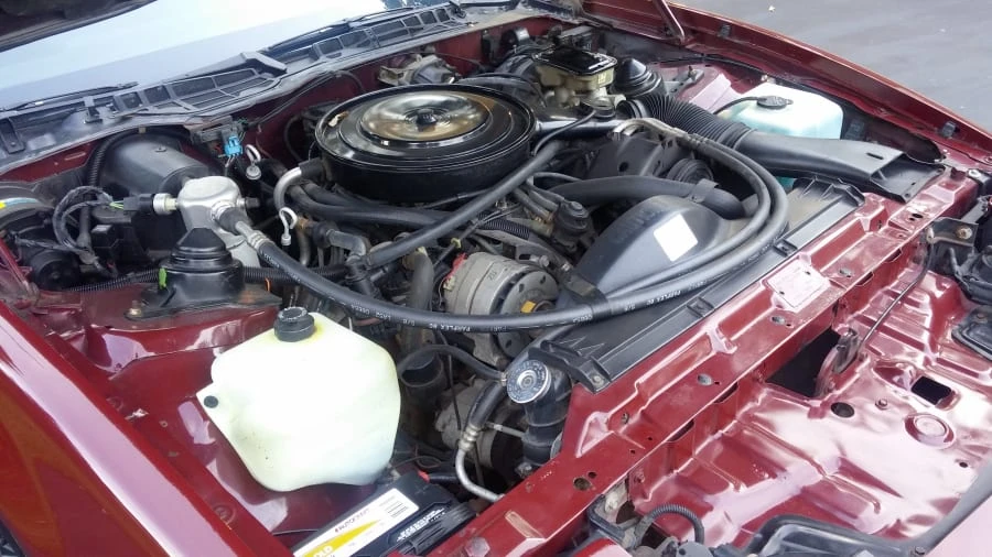 1985 Pontiac Firebird Trans Am 3rd Gen - Image 8 of 9