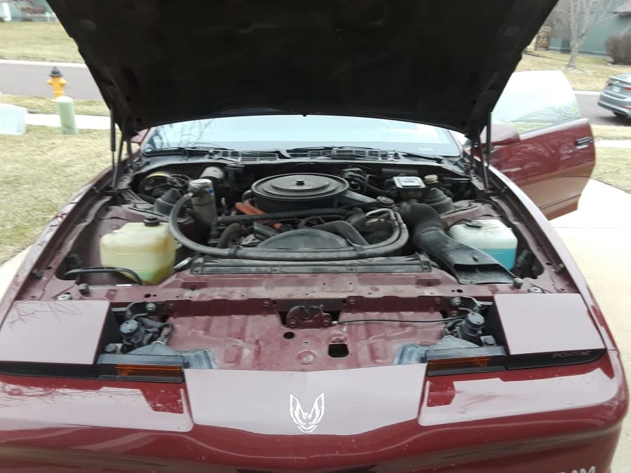 1985 Pontiac Firebird Trans Am 3rd Gen - Image 6 of 12