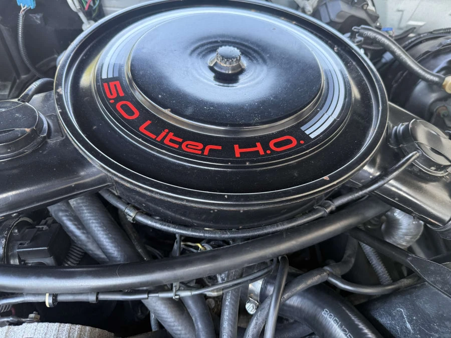 1985 Pontiac Firebird Trans Am 3rd Gen - Image 10 of 10