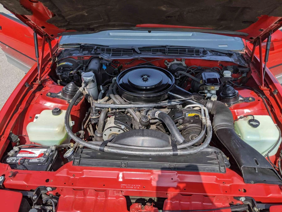 1985 Pontiac Firebird Trans Am 3rd Gen - Image 9 of 26