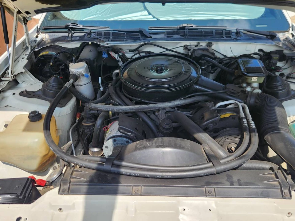 1985 Pontiac Firebird Trans Am 3rd Gen - Image 15 of 24