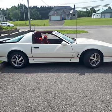 1985 Pontiac Trans Am Firebird