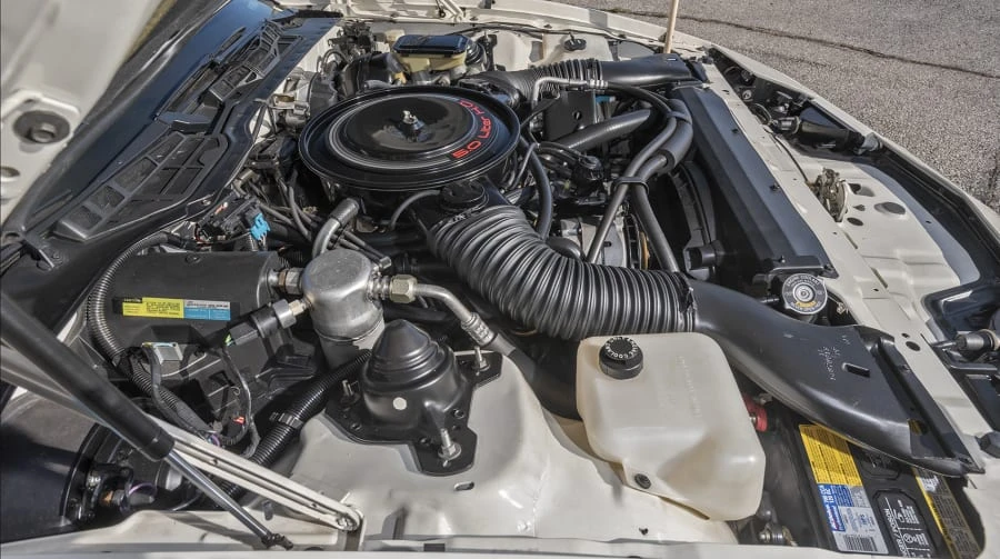 1985 Pontiac Firebird Trans Am 3rd Gen - Image 7 of 20