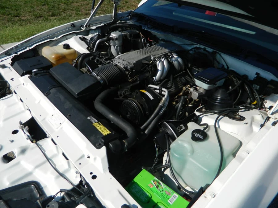 1985 Pontiac Firebird Trans Am 3rd Gen - Image 6 of 8