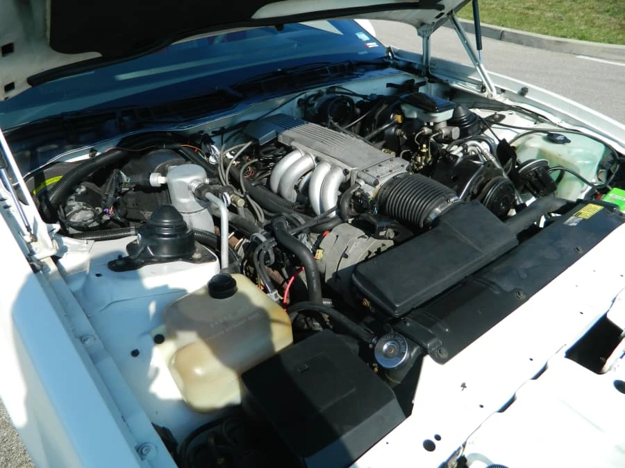 1985 Pontiac Firebird Trans Am 3rd Gen - Image 7 of 8