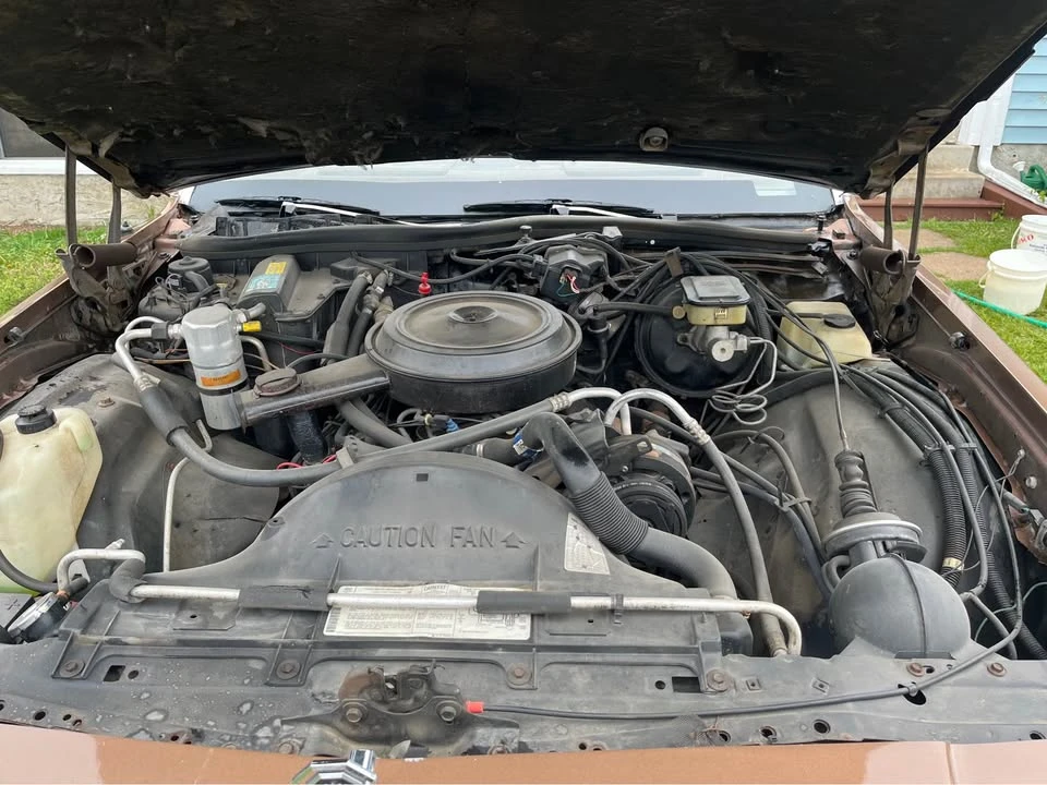 1985 Pontiac Parisienne - Image 11 of 12