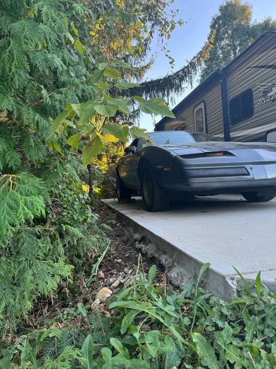1985 Pontiac Firebird Trans Am 3rd Gen - Image 2 of 5