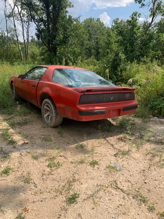 1985 Pontiac Firebird Trans Am 3rd Gen - Image 5 of 8