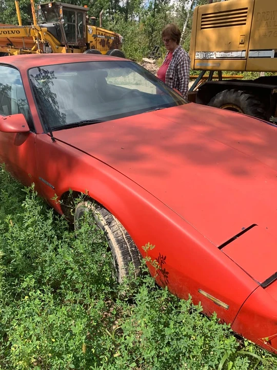 1985 Pontiac Firebird Trans Am 3rd Gen - Image 3 of 8