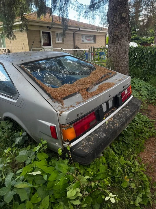1985 Toyota Celica 3rd Gen - Image 4 of 5