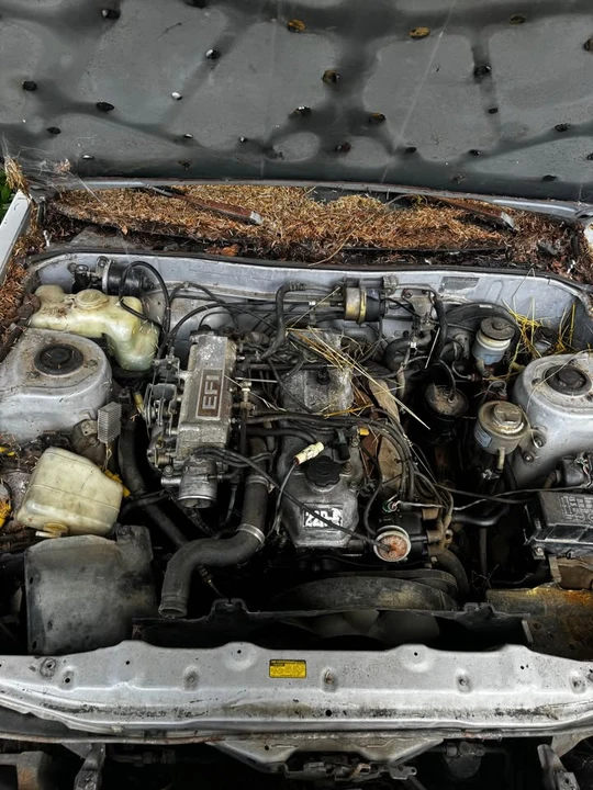 1985 Toyota Celica 3rd Gen - Image 5 of 5