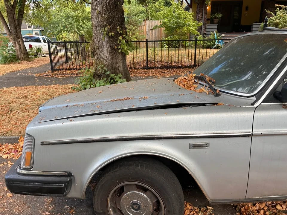 1985 Volvo 244 - Image 14 of 14