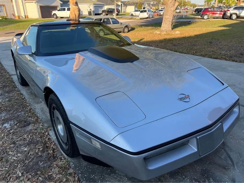 1985 Chevrolet Corvette C4 - Image 9 of 9