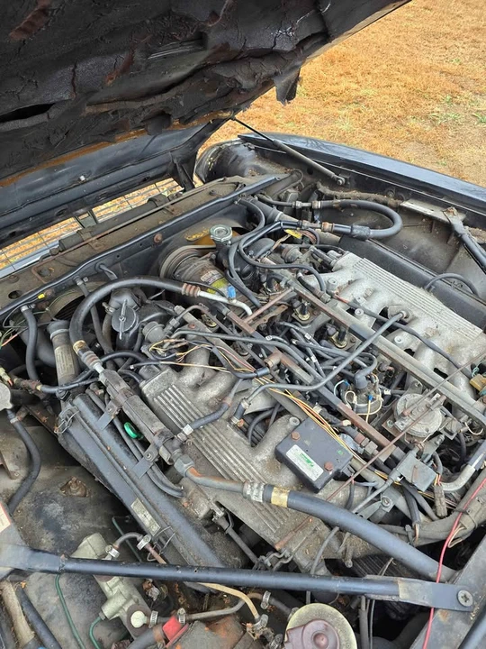 1985 Jaguar XJS - Image 7 of 7