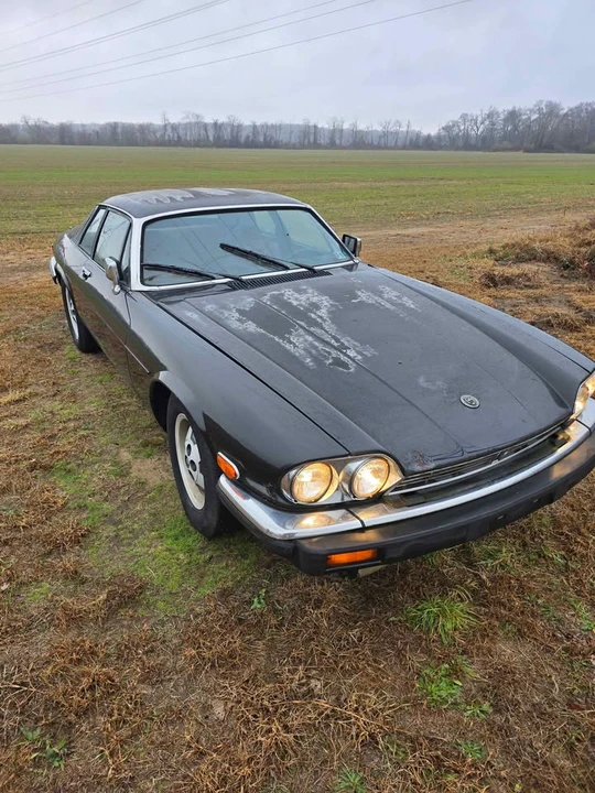 1985 Jaguar XJS - Image 4 of 7