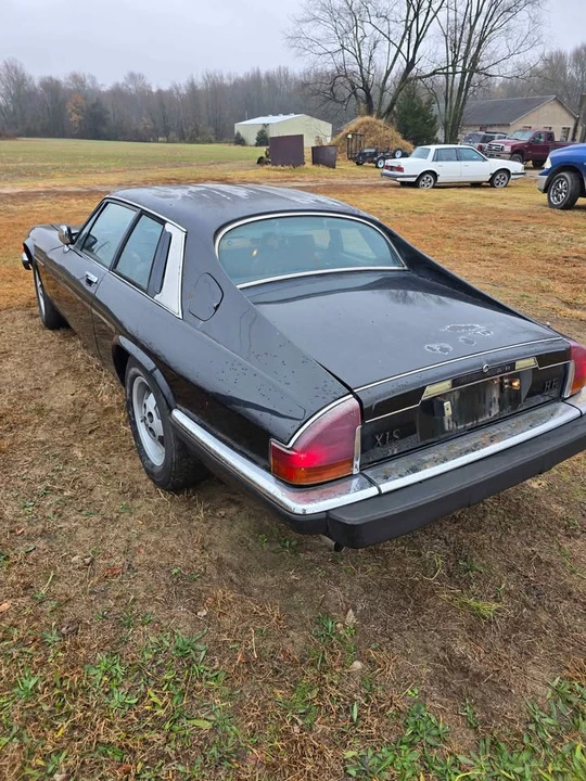 1985 Jaguar XJS - Image 2 of 7