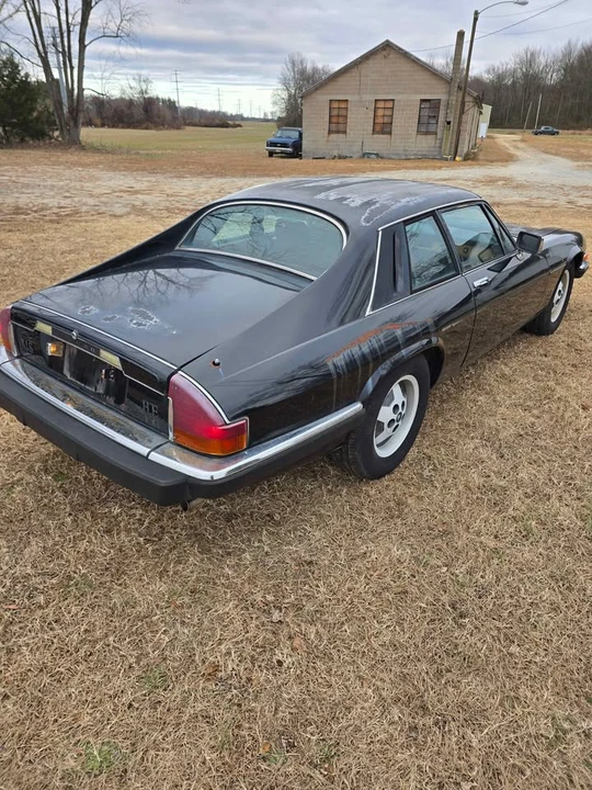 1985 Jaguar XJS - Image 3 of 10