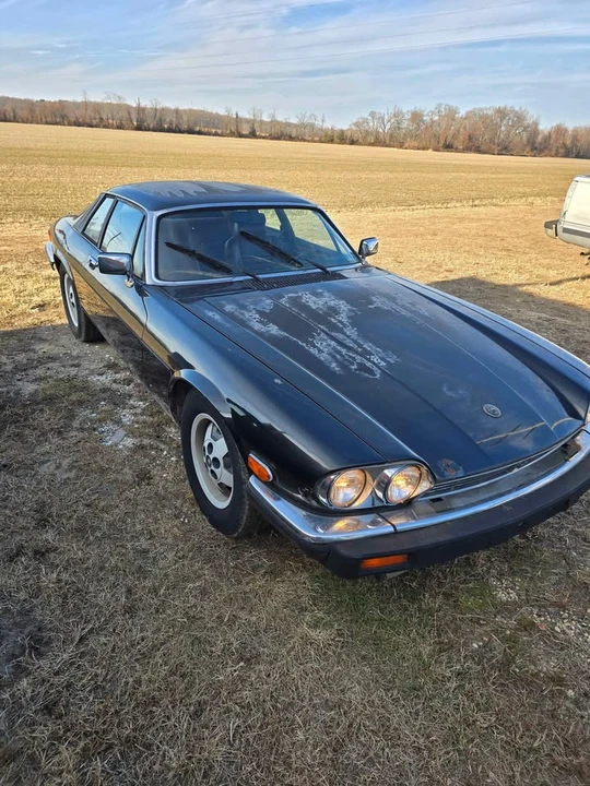 1985 Jaguar XJS - Image 4 of 9