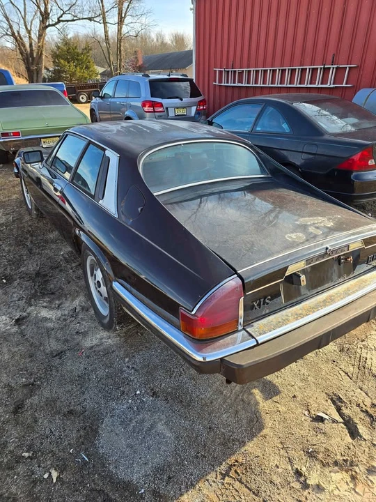 1985 Jaguar XJS - Image 2 of 9