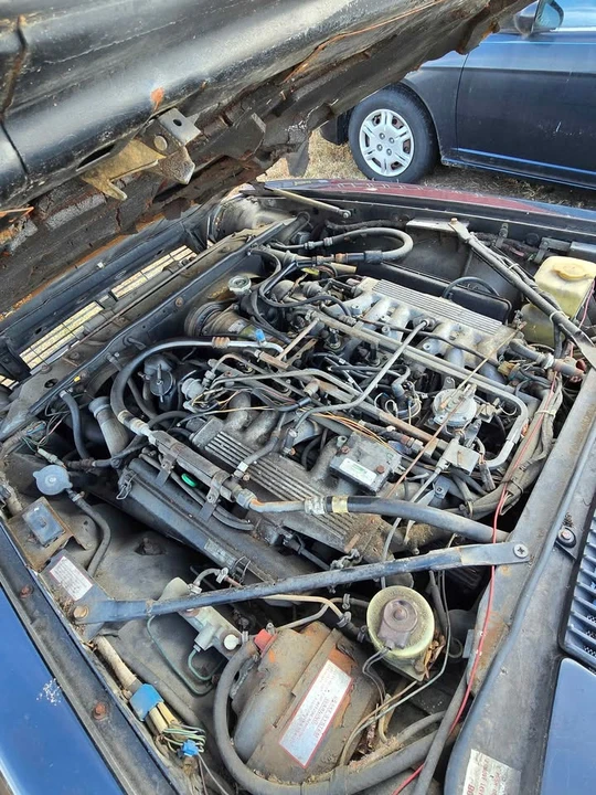 1985 Jaguar XJS - Image 9 of 9