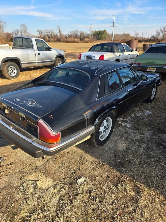 1985 Jaguar XJS - Image 3 of 9