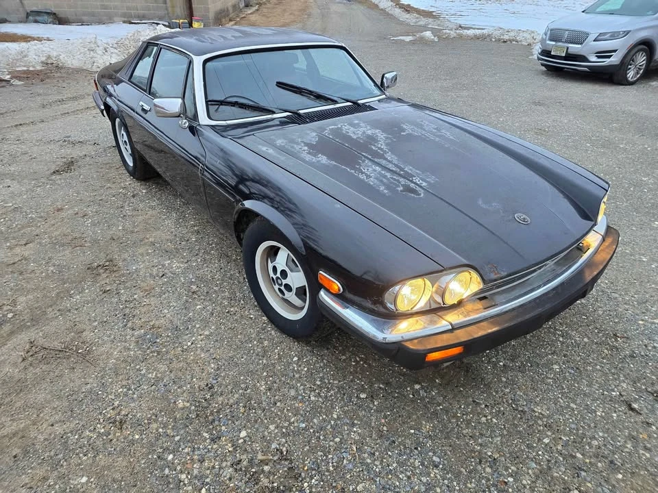 1985 Jaguar XJS - Image 4 of 10