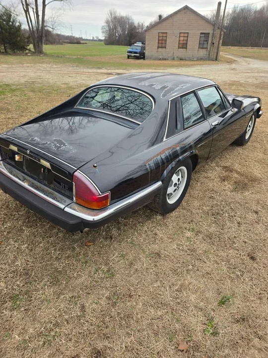 1985 Jaguar XJS - Image 2 of 9