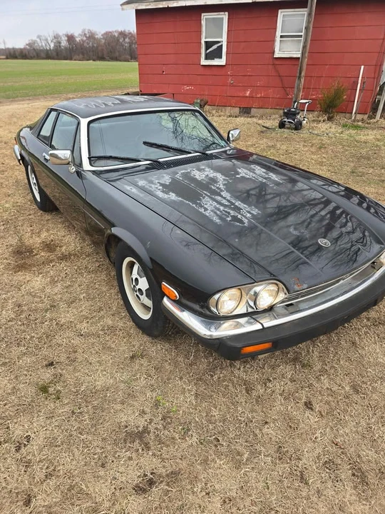 1985 Jaguar XJS - Image 4 of 10