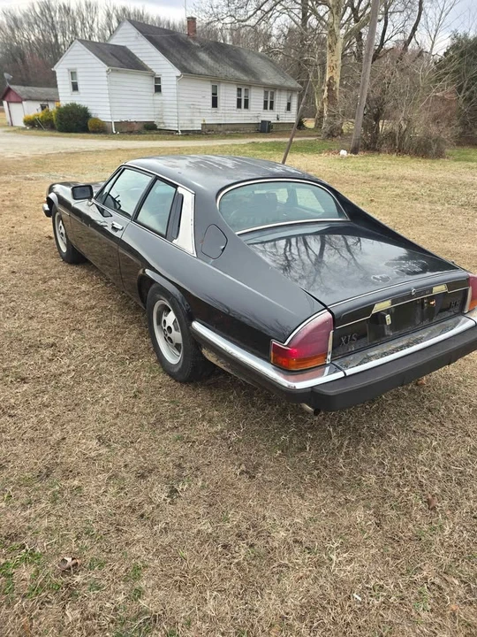 1985 Jaguar XJS - Image 2 of 10