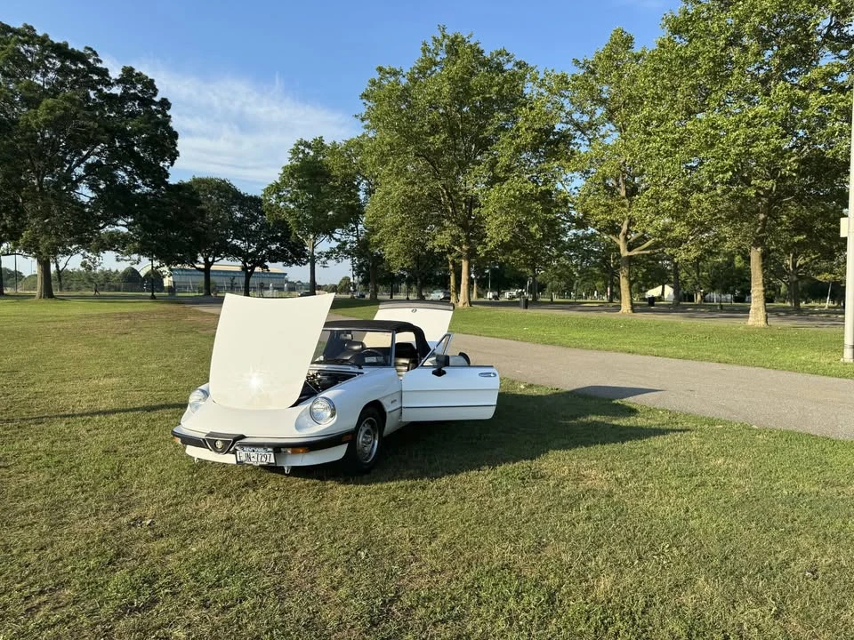 1986 Alfa Romeo Series 3 - Image 3 of 14