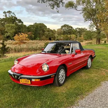 1986 Alfa Romeo Quadrifoglio Convertible