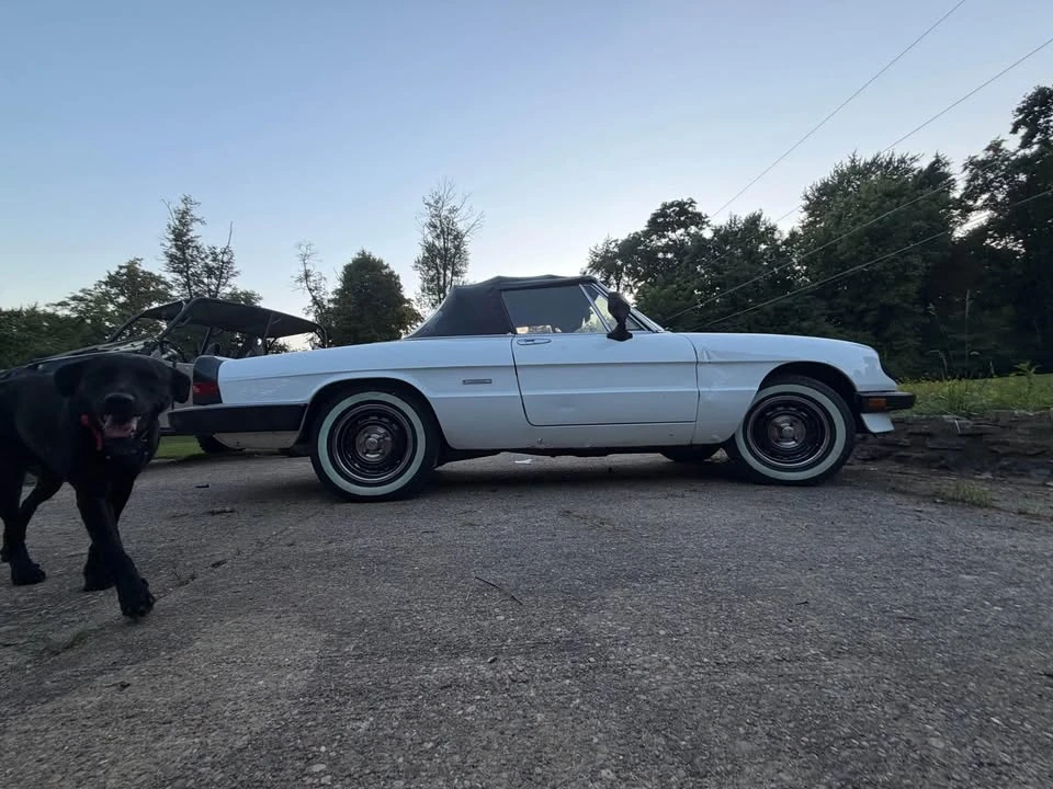 1986 Alfa Romeo Series 3 - Image 3 of 6