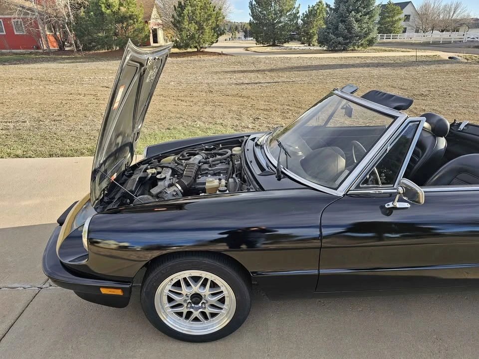 1986 Alfa Romeo Series 3 - Image 19 of 20
