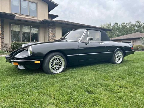 1986 Alfa Romeo Spider Convertible 2D