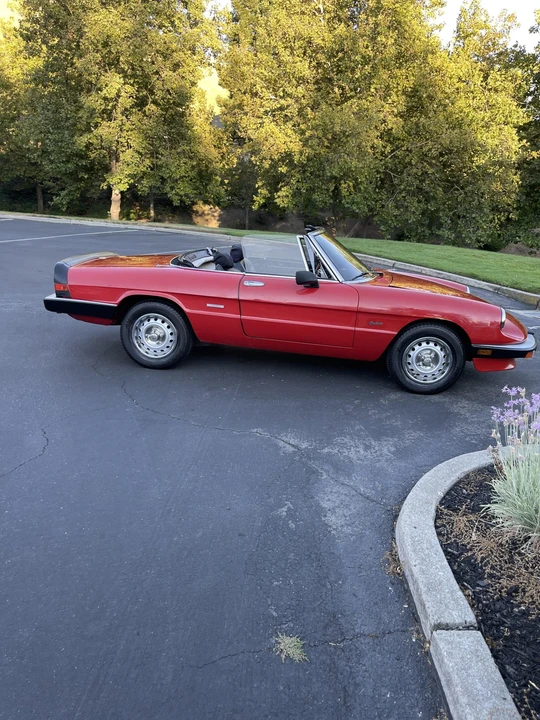 1986 Alfa Romeo Series 3 - Image 14 of 31