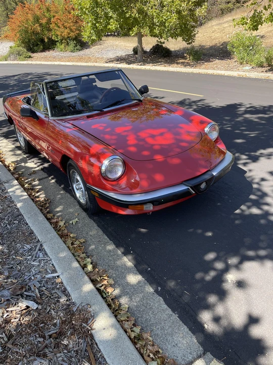 1986 Alfa Romeo Series 3 - Image 16 of 31