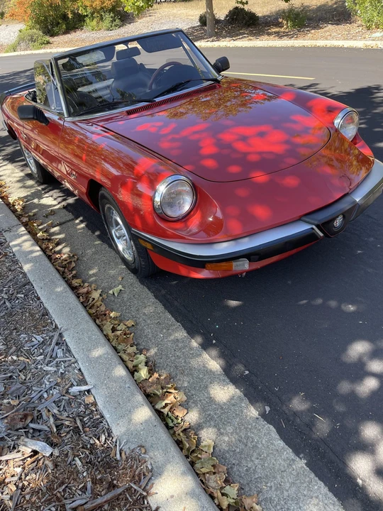 1986 Alfa Romeo Series 3 - Image 17 of 31