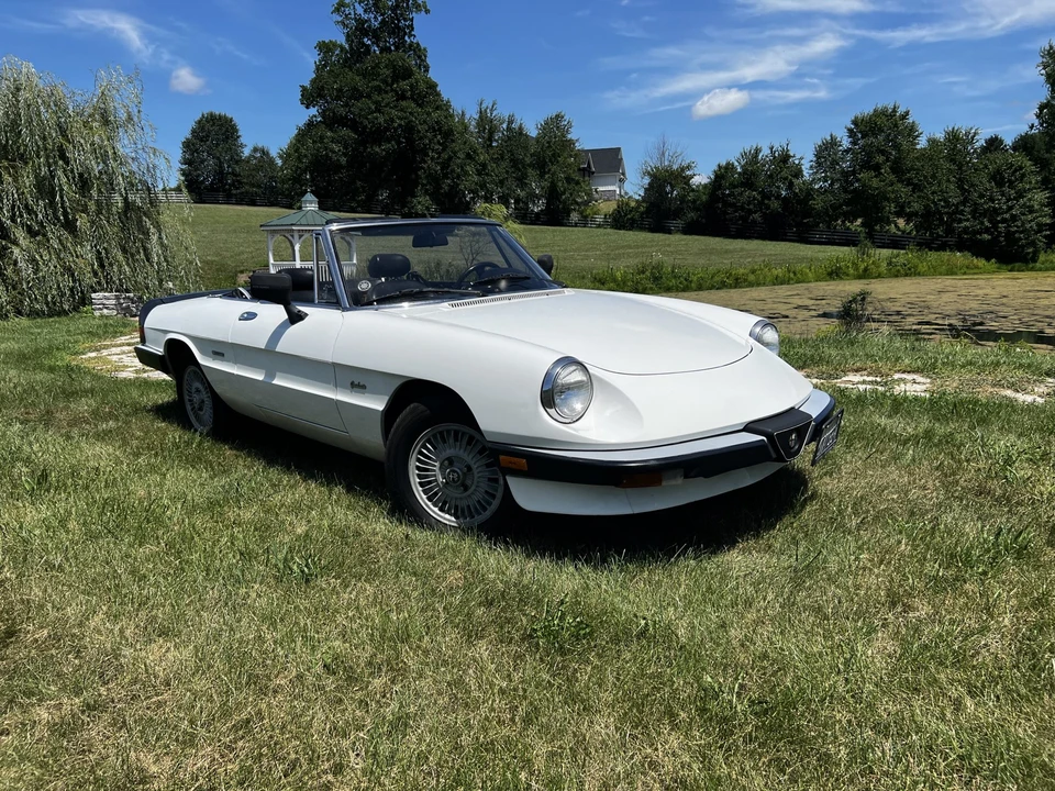1986 Alfa Romeo Series 3 - Image 16 of 31