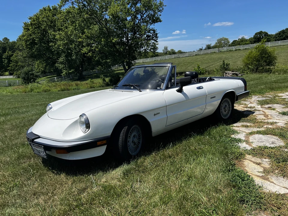 1986 Alfa Romeo Series 3 - Image 8 of 31