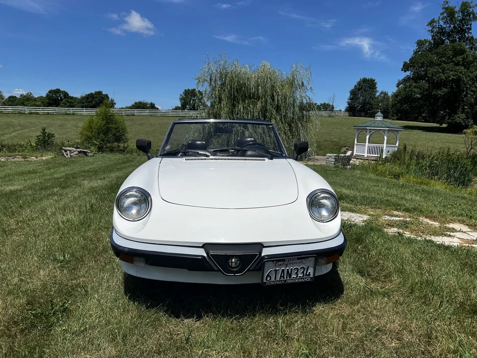 1986 Alfa Romeo Series 3 - Image 6 of 31