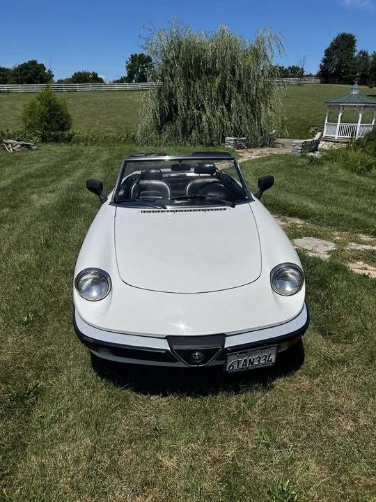 1986 Alfa Romeo Series 3 - Image 5 of 31