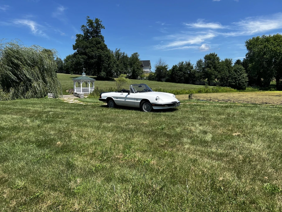 1986 Alfa Romeo Series 3 - Image 15 of 31