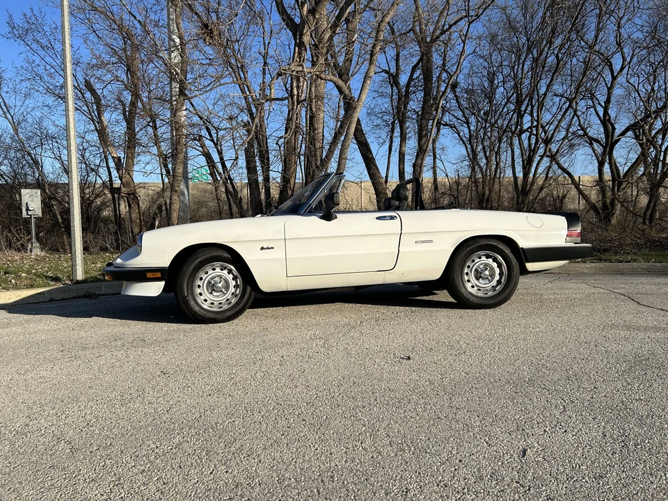 1986 Alfa Romeo Series 3 - Image 21 of 31