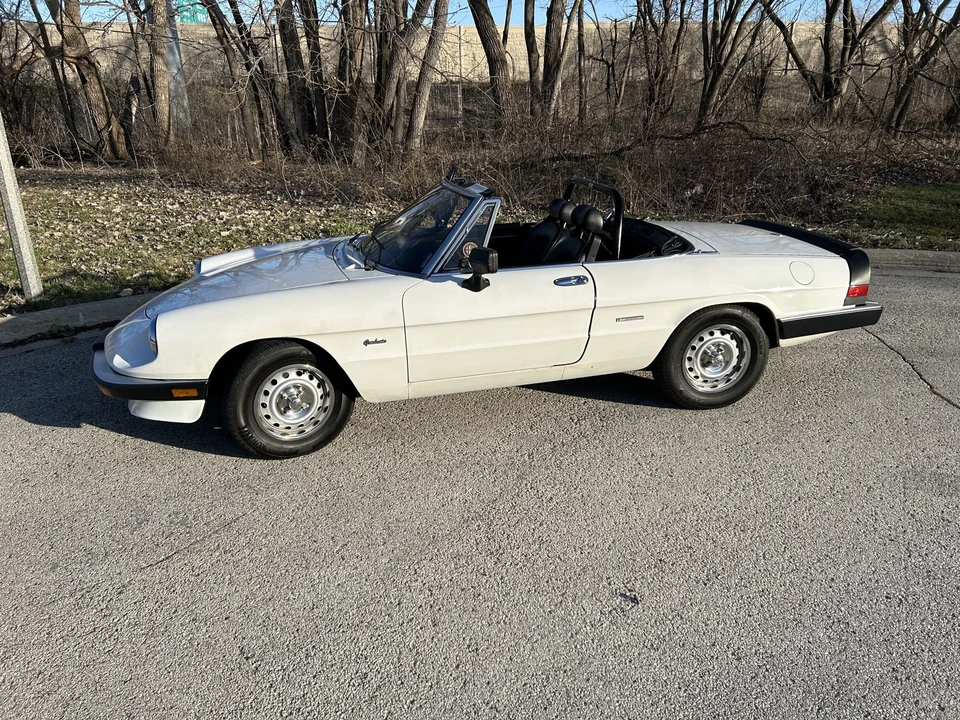 1986 Alfa Romeo Series 3 - Image 20 of 31
