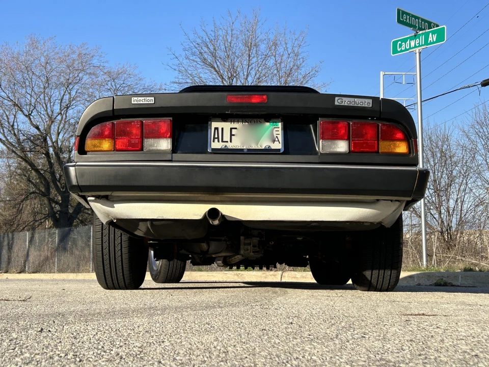 1986 Alfa Romeo Series 3 - Image 17 of 31