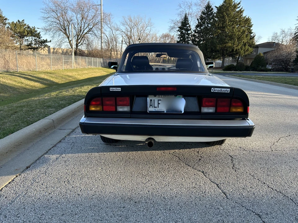1986 Alfa Romeo Series 3 - Image 26 of 31