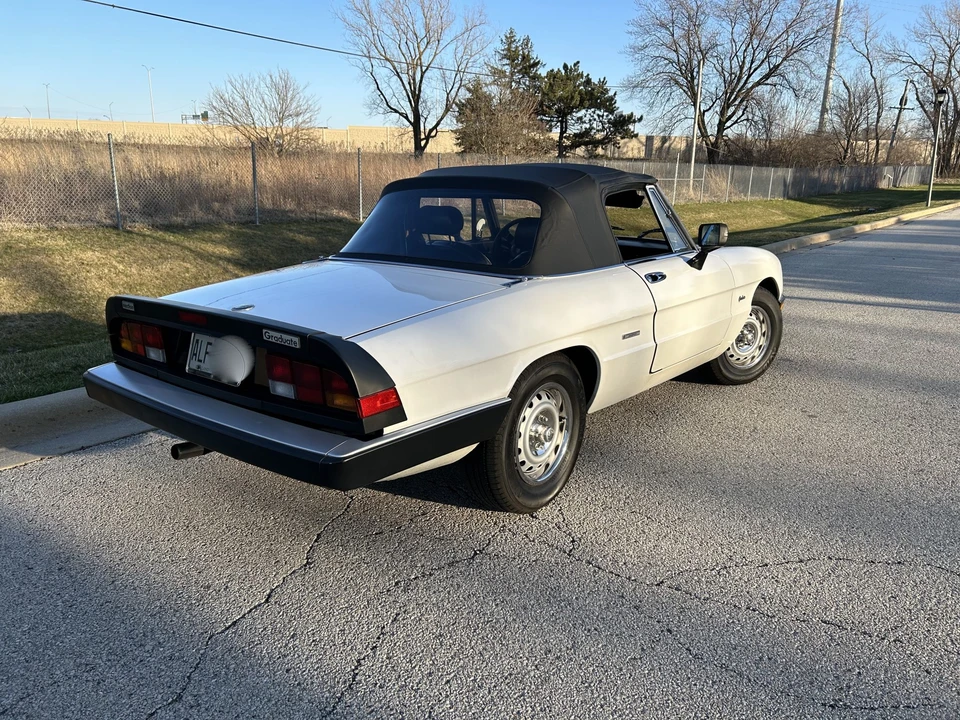 1986 Alfa Romeo Series 3 - Image 25 of 31