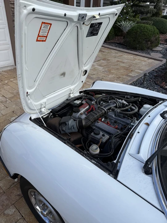 1986 Alfa Romeo Series 3 - Image 15 of 16